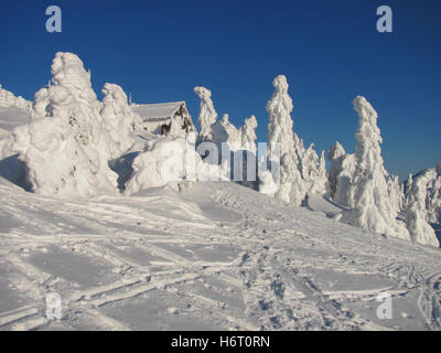 the arber mandl from great arber Stock Photo