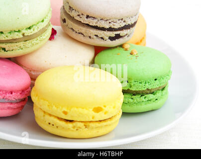 food aliment sweet colour green pastry france kitchen cuisine cake pie cakes traditional gourmet biscuit biscuits cookies Stock Photo