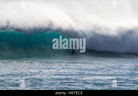 A surfer rides in the barrel of this wave, Oahu Hawaii USA Stock Photo