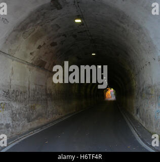 Tunnel, road, highway, traffic, light, transportation, night, speed, line, transport, travel, urban, background, abstract. Stock Photo