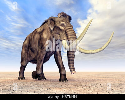 mammoth Stock Photo