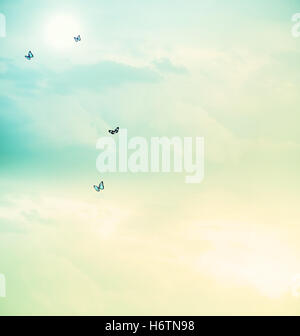 blue beautiful beauteously nice environment enviroment isolated colour ...