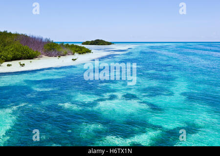 blue beautiful beauteously nice shine shines bright lucent light serene luminous sunny beach seaside the beach seashore america Stock Photo