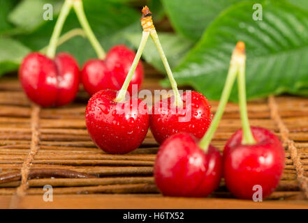 food, aliment, leaf, health, macro, close-up, macro admission, close up ...