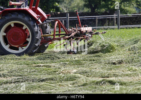 tedding Stock Photo