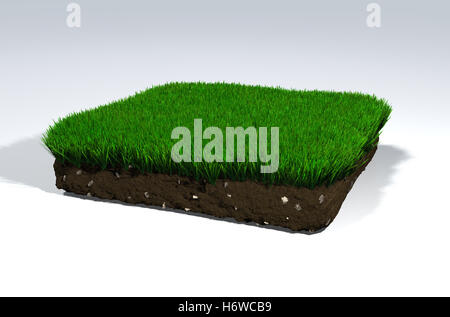 grass fields Stock Photo
