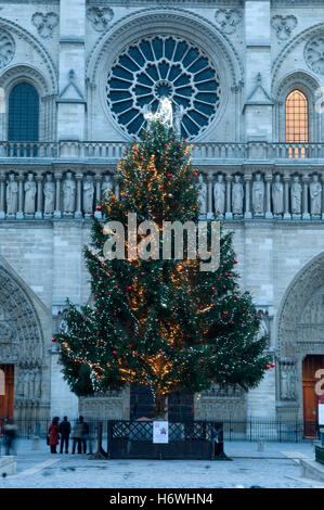 Christmas tree in front of the Basilica of Notre-Dame, Paris, France, Europe Stock Photo
