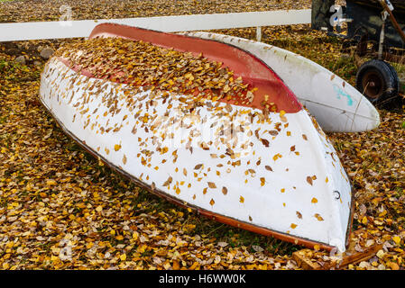 Upside down rowboat with dry leaves on the keel in fall. Stock Photo