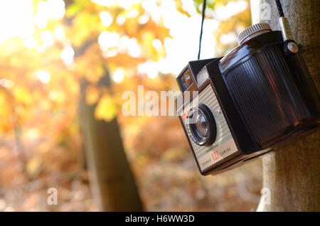 kodak brownie 127 camera in autumn woodland, norfolk, england Stock Photo