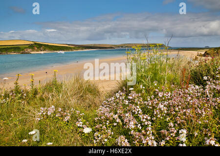 Sand Dunes; Rock; Cornwall; UK Stock Photo