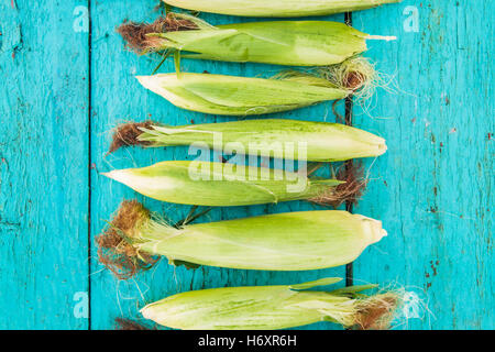 corn on the cob on a blue wooden background. Stock Photo