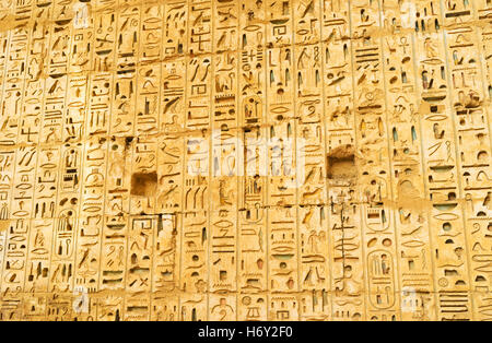 The stone wall in Habu Temple covered with thousands of the ancient hieroglyphs, Luxor, Egypt. Stock Photo