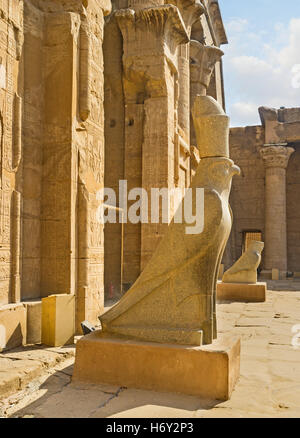 The ancient statues of falcons were preserved in Horus Temple in Edfu, Egypt. Stock Photo