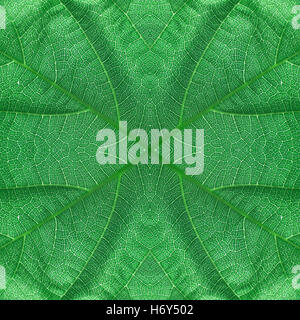 Leaf seamless pattern green emerald color Stock Photo