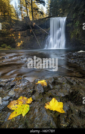 Upper North Falls at Silver Falls State Park Oregon in Autumn Stock Photo