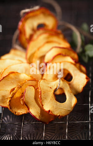 Dried apple slices hanging on string with dark metal backdrop Stock Photo