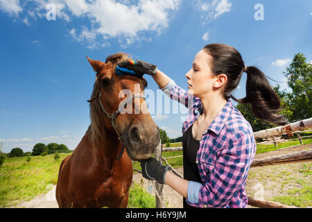 Portrait of young woman grooming horse in summer