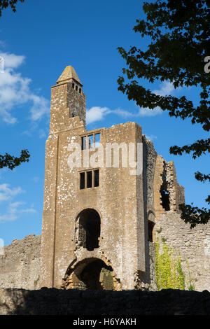 England, Dorset, Sherborne, Old Sherborne Castle Stock Photo - Alamy