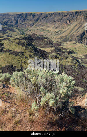 Owyhee Canyon Overlook, Owyhee Wild and Scenic River, Vale District Bureau of Land Management, Oregon Stock Photo