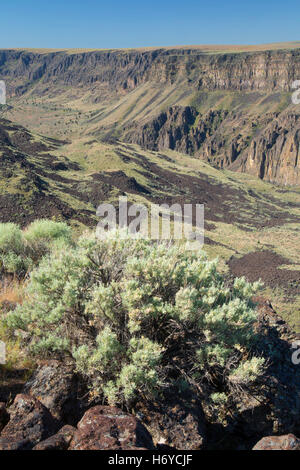 Owyhee Canyon Overlook, Owyhee Wild and Scenic River, Vale District Bureau of Land Management, Oregon Stock Photo