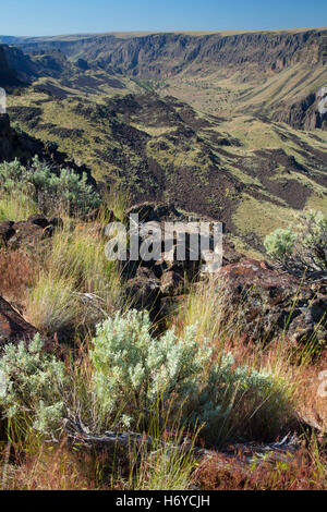 Owyhee Canyon Overlook, Owyhee Wild and Scenic River, Vale District Bureau of Land Management, Oregon Stock Photo