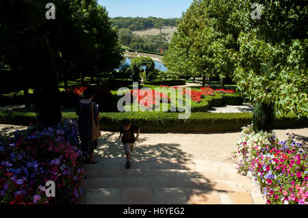 enchanted maze garden. arthurs seat. mornington peninsula. victoria. australia Stock Photo