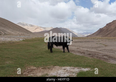 Pamir region Russian Federation Central Asia mountain landscapes Stock Photo