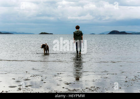 Spanish water dog having fun on beach with boy Stock Photo