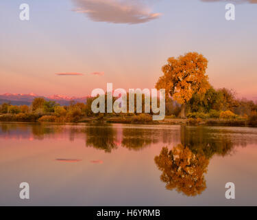 Morning Glow - pink sunrise with golden cottonwood tree reflected in the lake. Sun glowing on mountains. Stock Photo