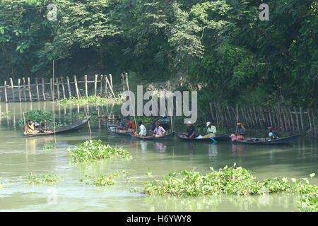 Seasonal fishermen busy fishing in the Turag river at Savar outside the capital Dhaka, with the river's water level going down. Stock Photo