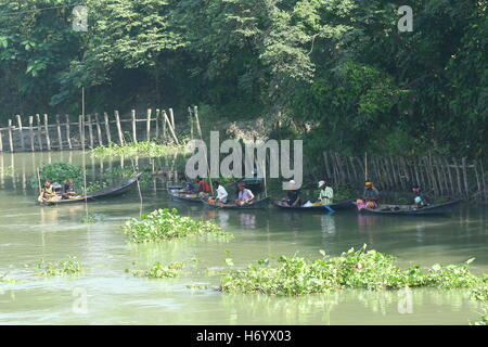 Seasonal fishermen busy fishing in the Turag river at Savar outside the capital Dhaka, with the river's water level going down. Stock Photo