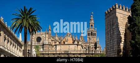 Spain, Andalusia, Seville, the cathedral and La Giiralda tower Stock Photo