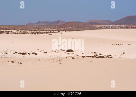 Fuerteventura, Canary Islands: the desert and the sand dunes national park in Corralejo Stock Photo