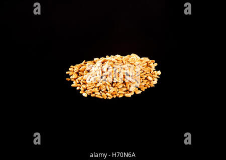 Roasted Salted Sunflower Seeds on a black background Stock Photo