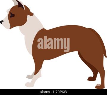 American pit bull terrier animal dog, domestic breed vector illustration Stock Vector