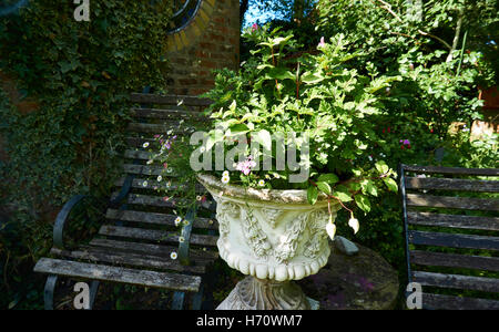 Extremely rare and beautiful garden well groomed with amazing species of flowers Stock Photo