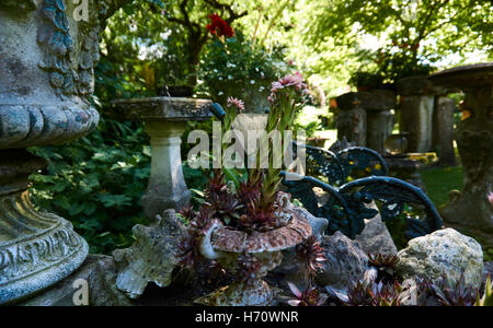 Extremely rare and beautiful garden well groomed with amazing species of flowers Stock Photo