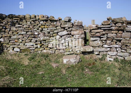 Gates and Footpaths in Coverdale, Yorkshire Dales Stock Photo