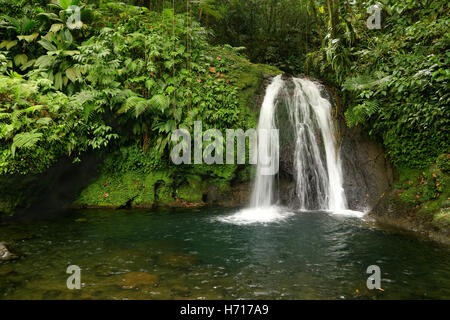 Beautiful waterfall in a rainforest. Cascades aux Ecrevisses, Guadeloupe, Caribbean Islands, France Stock Photo