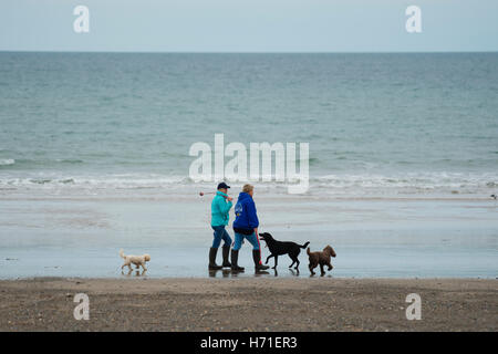 Two women walking their dogs on Hell's Mouth beach (Porth Neigwl), Lleyn Peninsula,  Gwynedd Wales UKWales UK October 2016 Stock Photo