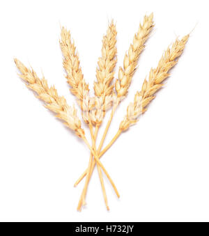 wheat isolated on a white background Stock Photo