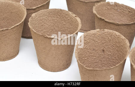 Peat pots for growing seedlings isolated on white background Stock Photo