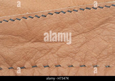 brown leather background and stitches Stock Photo