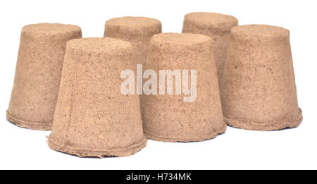 peat pots isolated on white Stock Photo