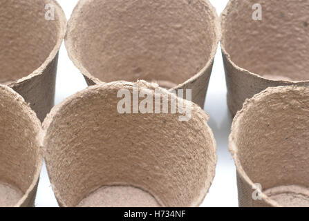 Peat pots for growing seedlings isolated on white background Stock Photo