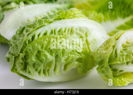 Little gem lettuce on white. Stock Photo