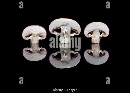 Three halved fresh brown champignons in row isolated on black reflective background Stock Photo