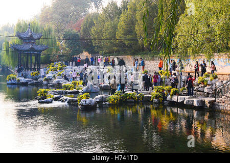 Jinan, China's Shandong Province. 2nd Nov, 2016. People visit a chrysanthemum flower show in Jinan, capital of east China's Shandong Province, Nov. 2, 2016. © Feng Jie/Xinhua/Alamy Live News Stock Photo