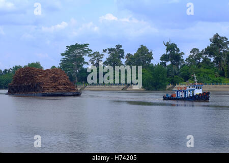 April 14, 2016 - Siak Sri Indrapura, Riau, Indonesia - A ship carrying timber raw materials for making paper to paper mills through the Siak river (Credit Image: © Dedy Sutisna via ZUMA Wire) Stock Photo