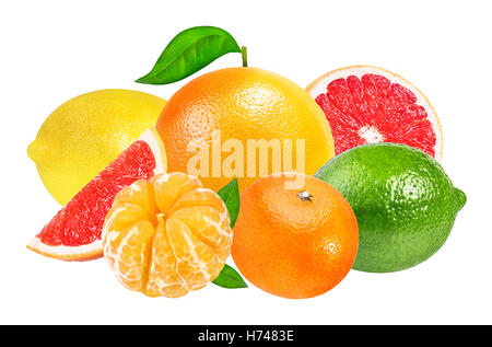 Citrus Fruit Set (tangerine, grapefruit, lime, lemon) isolated on white background Stock Photo